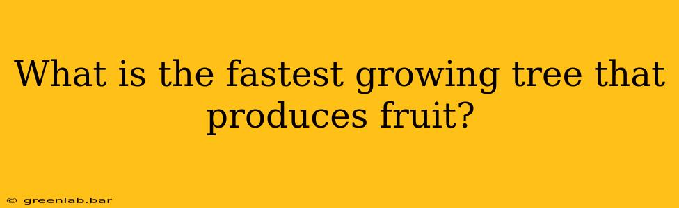 What is the fastest growing tree that produces fruit?