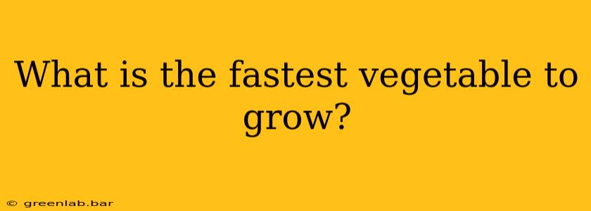 What is the fastest vegetable to grow?