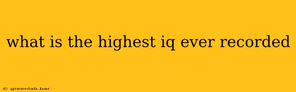 what is the highest iq ever recorded