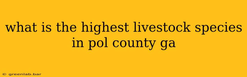 what is the highest livestock species in pol county ga