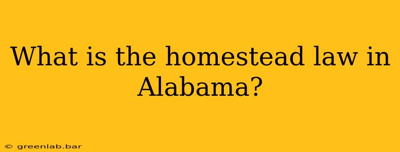 What is the homestead law in Alabama?