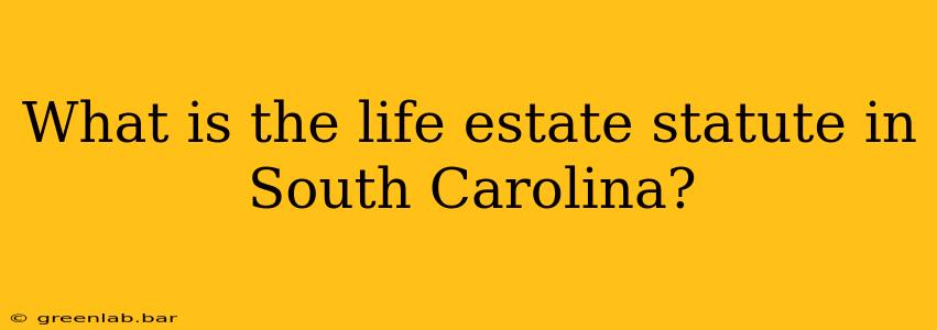 What is the life estate statute in South Carolina?