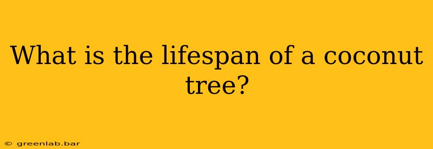 What is the lifespan of a coconut tree?