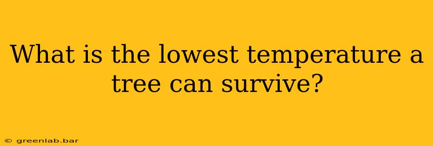 What is the lowest temperature a tree can survive?