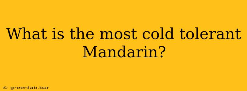 What is the most cold tolerant Mandarin?