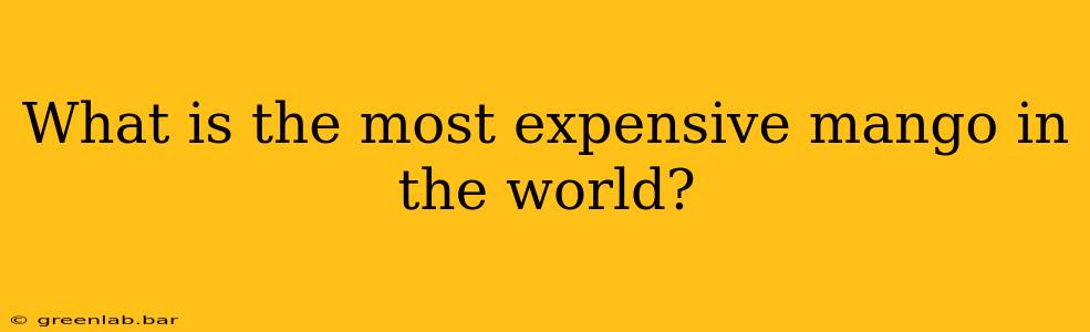 What is the most expensive mango in the world?