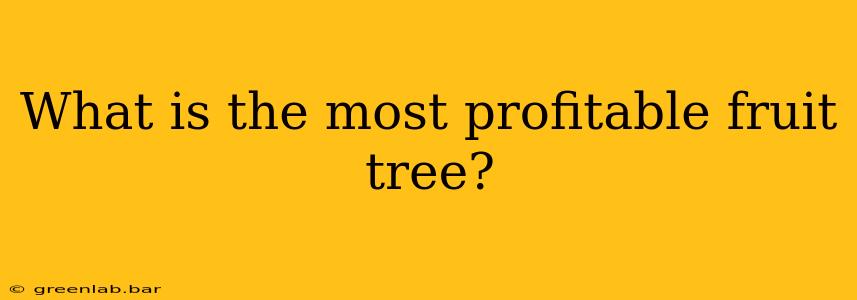 What is the most profitable fruit tree?