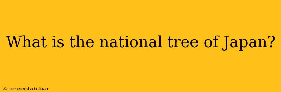 What is the national tree of Japan?