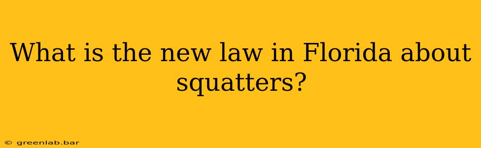 What is the new law in Florida about squatters?