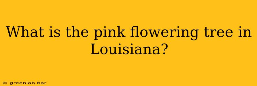 What is the pink flowering tree in Louisiana?