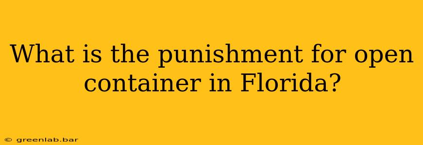 What is the punishment for open container in Florida?