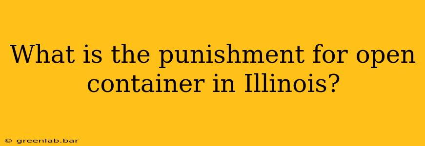 What is the punishment for open container in Illinois?