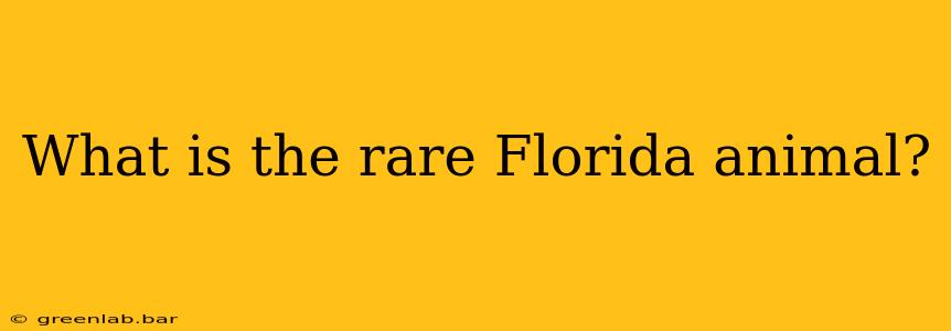 What is the rare Florida animal?