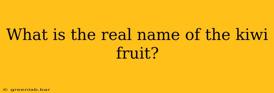 What is the real name of the kiwi fruit?