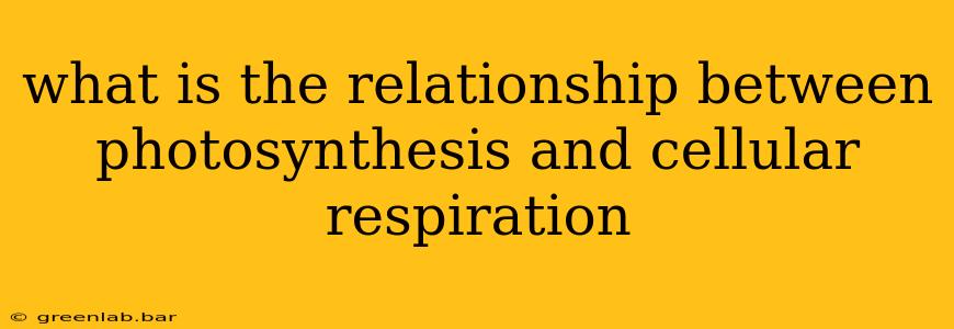 what is the relationship between photosynthesis and cellular respiration