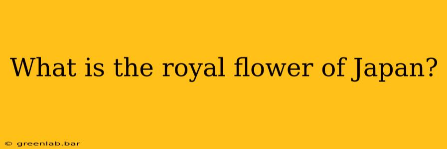 What is the royal flower of Japan?