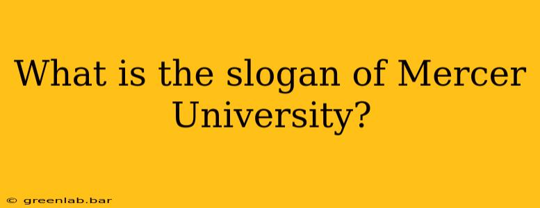 What is the slogan of Mercer University?