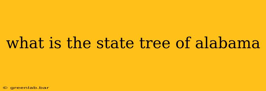 what is the state tree of alabama