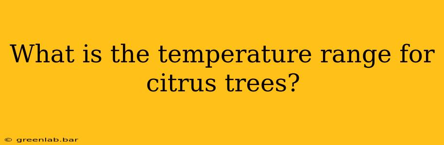 What is the temperature range for citrus trees?