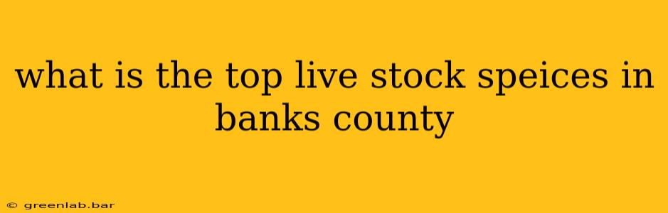 what is the top live stock speices in banks county