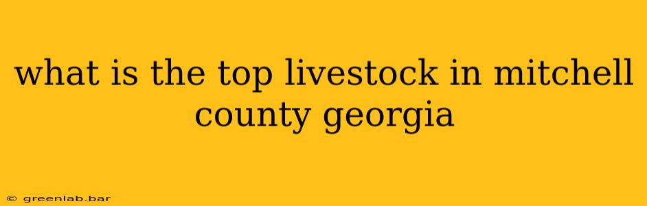 what is the top livestock in mitchell county georgia