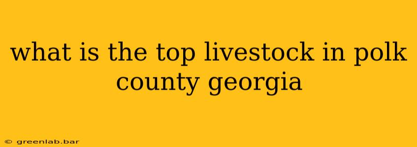 what is the top livestock in polk county georgia