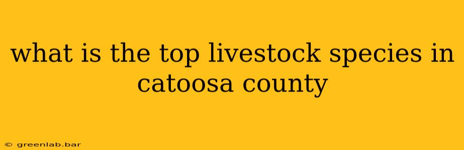 what is the top livestock species in catoosa county