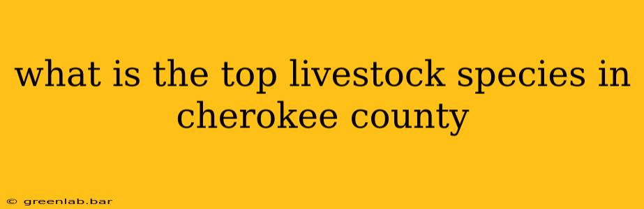 what is the top livestock species in cherokee county