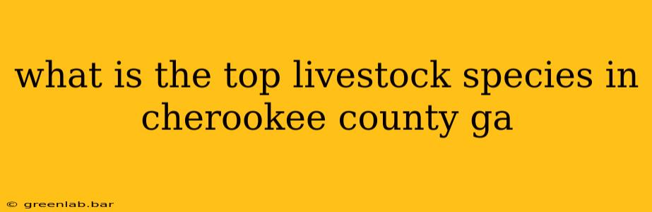 what is the top livestock species in cherookee county ga