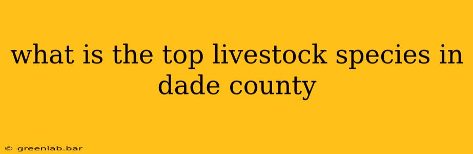 what is the top livestock species in dade county