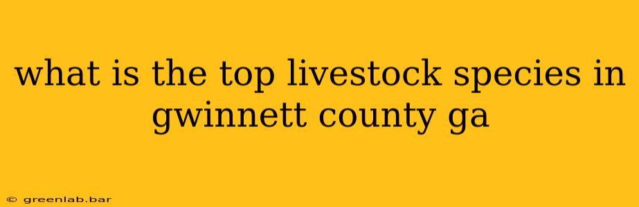 what is the top livestock species in gwinnett county ga