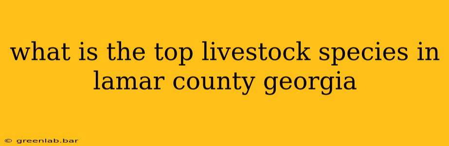 what is the top livestock species in lamar county georgia