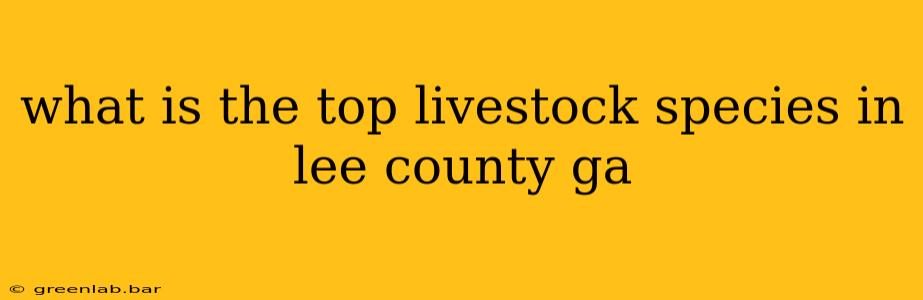 what is the top livestock species in lee county ga