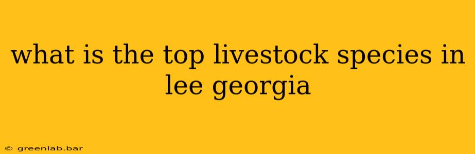 what is the top livestock species in lee georgia