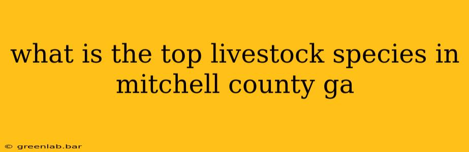 what is the top livestock species in mitchell county ga