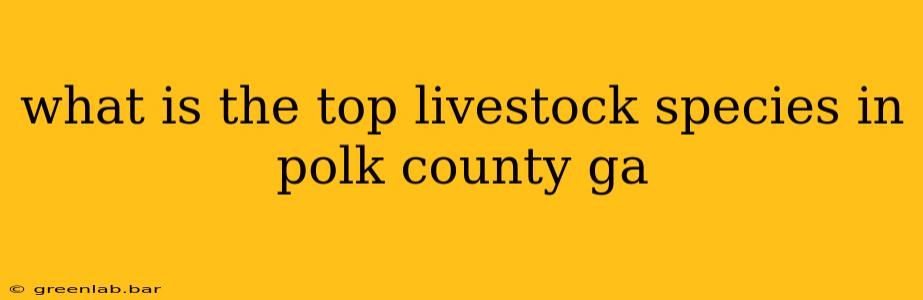 what is the top livestock species in polk county ga