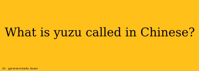 What is yuzu called in Chinese?