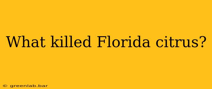 What killed Florida citrus?