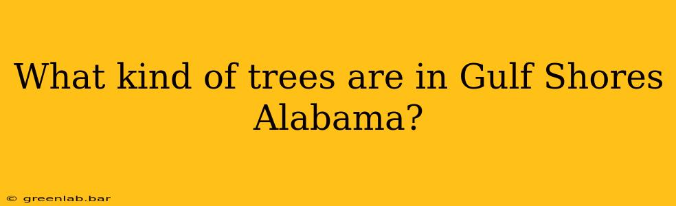 What kind of trees are in Gulf Shores Alabama?