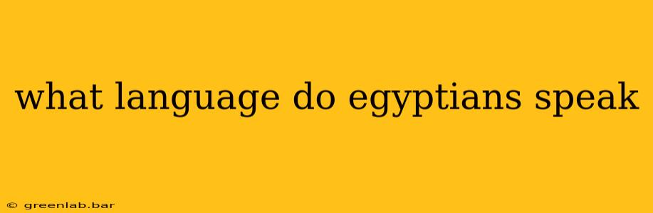 what language do egyptians speak