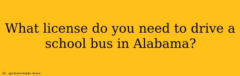 What license do you need to drive a school bus in Alabama?