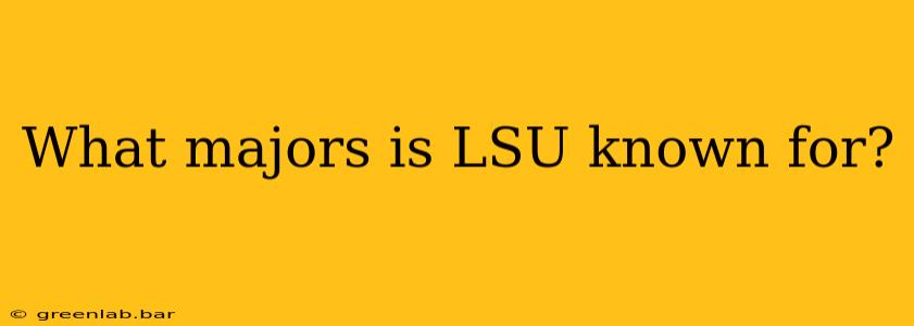 What majors is LSU known for?