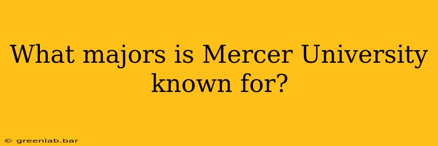 What majors is Mercer University known for?