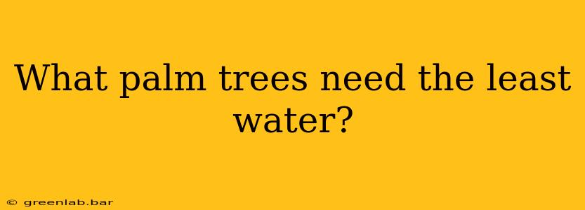 What palm trees need the least water?