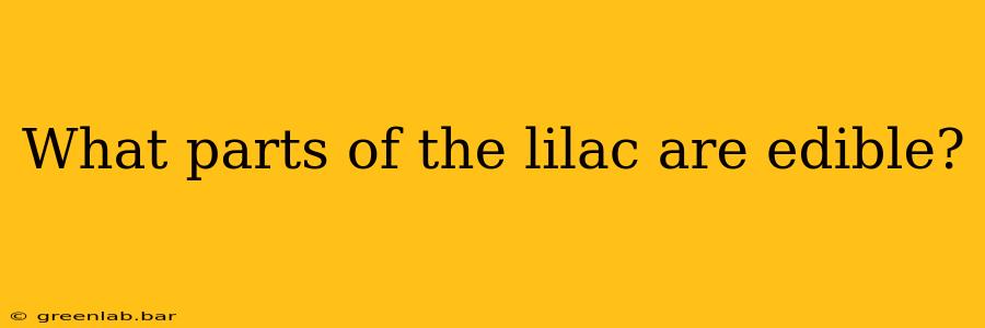 What parts of the lilac are edible?