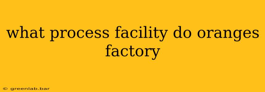 what process facility do oranges factory