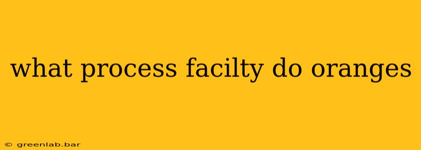 what process facilty do oranges