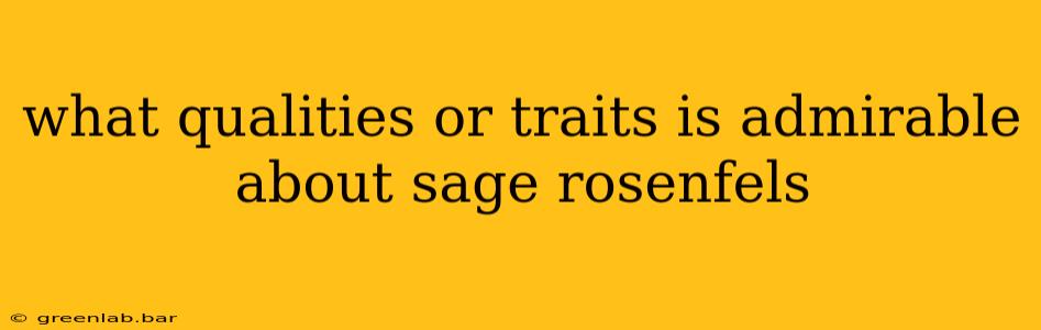 what qualities or traits is admirable about sage rosenfels