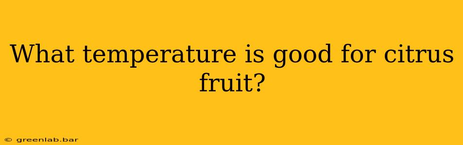 What temperature is good for citrus fruit?