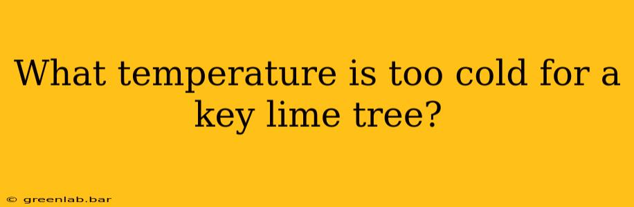 What temperature is too cold for a key lime tree?